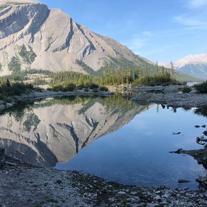 Meet your Posher, Brigid